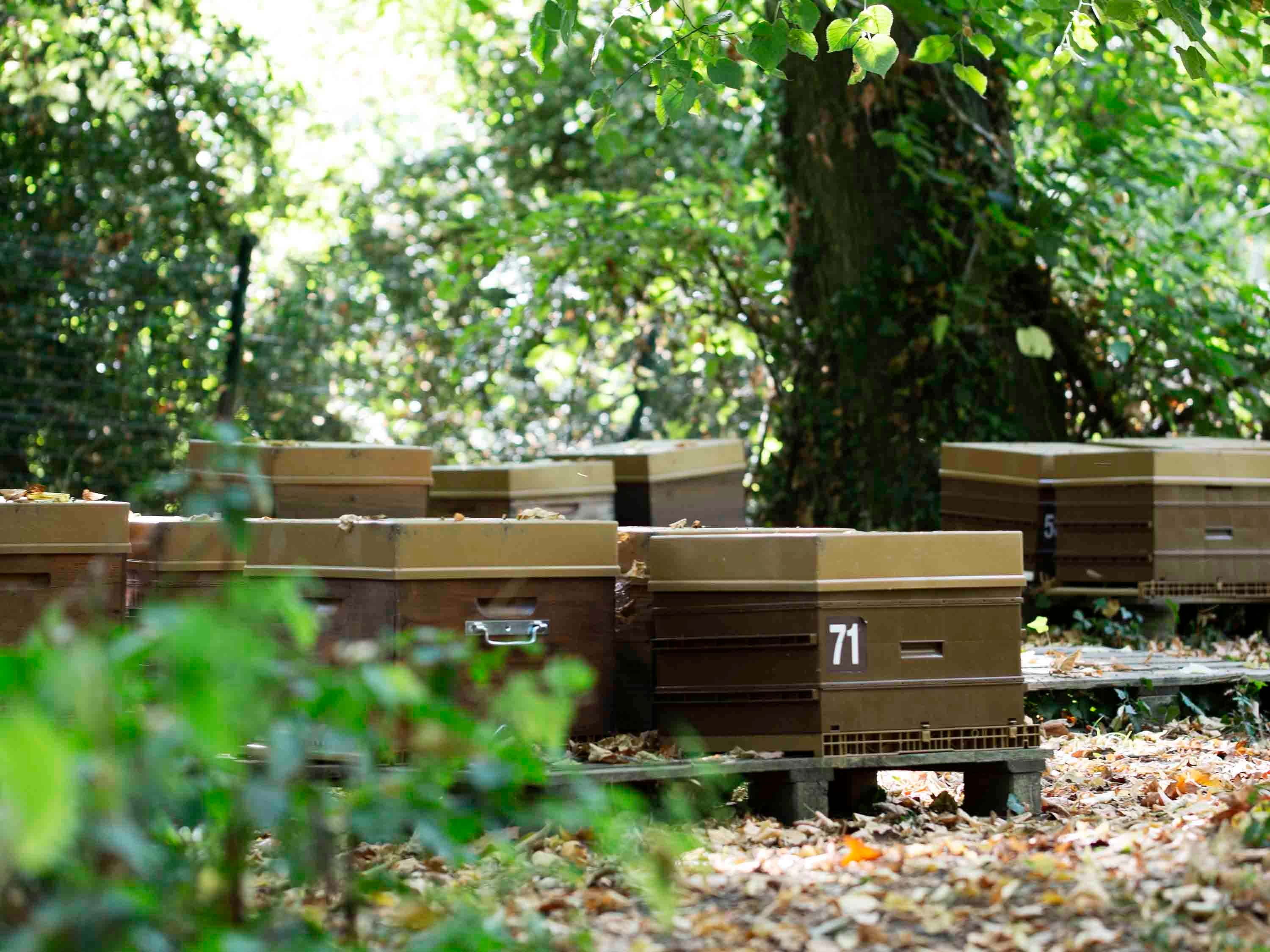 Novotel Domaine de Maffliers-Demeures de Campagne