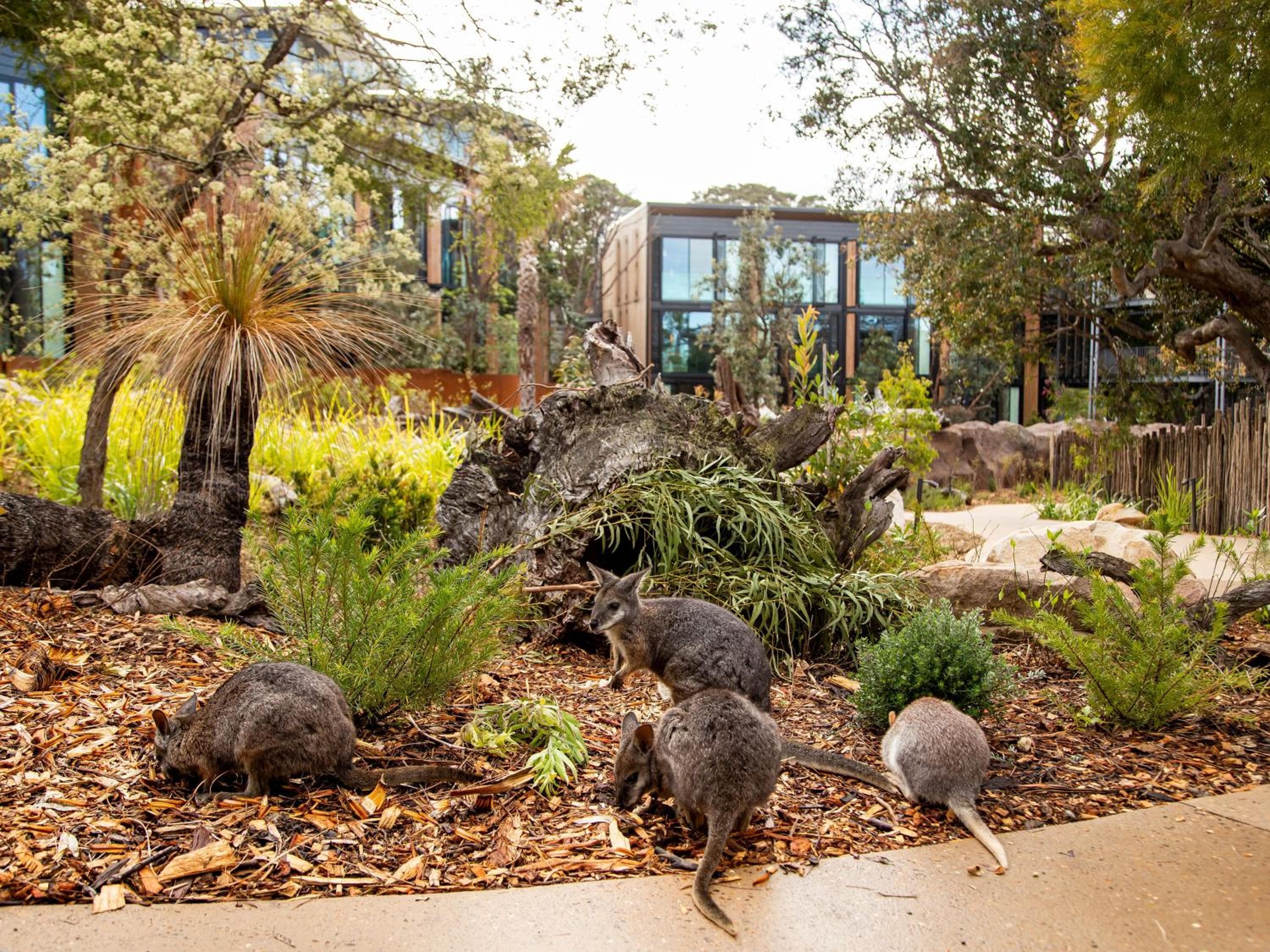 Wildlife Retreat at Taronga