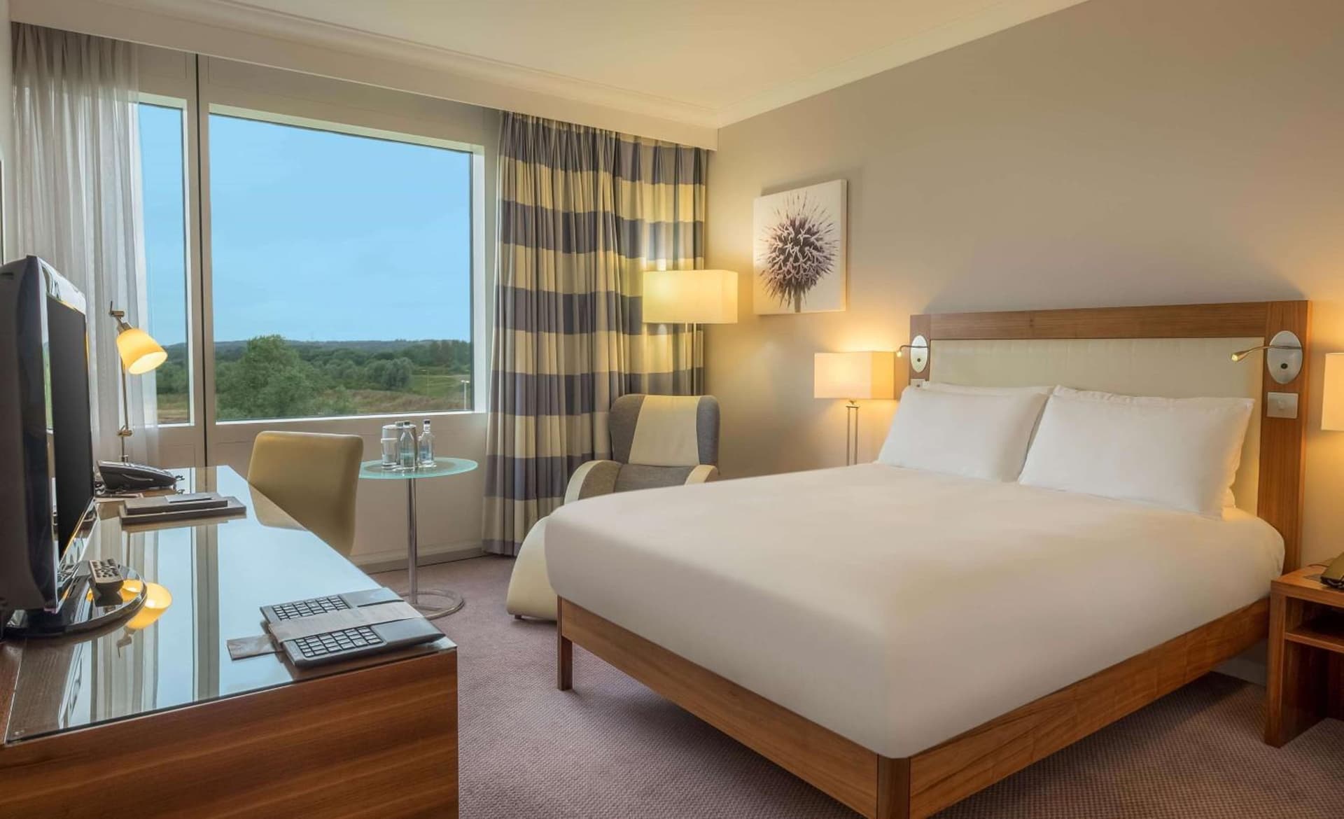 Hilton Reading